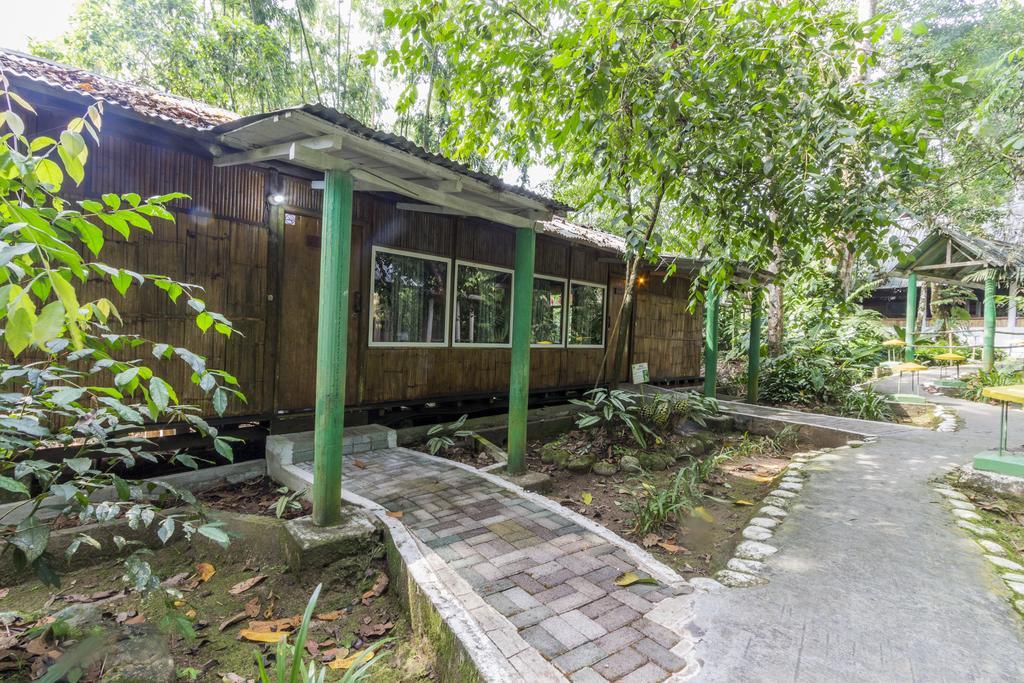 Hosteria El Paraiso De Las Orquideas Archidona Esterno foto