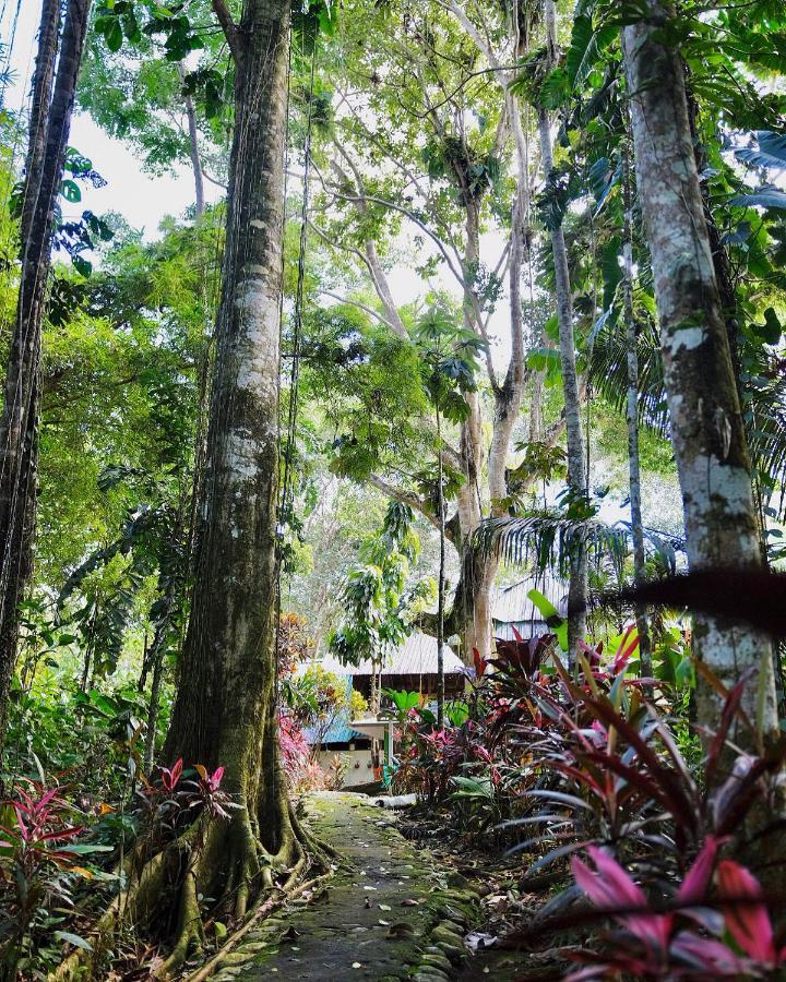 Hosteria El Paraiso De Las Orquideas Archidona Esterno foto